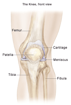 What is a bone bruise of the elbow?